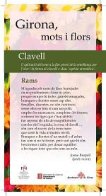 Torna Girona, mots i flors als aparadors de la ciutat