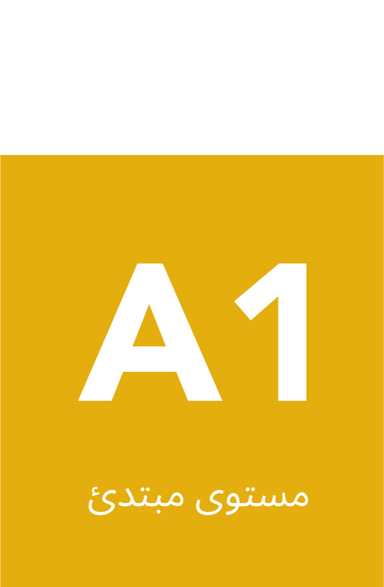 مستوى مبتدئ