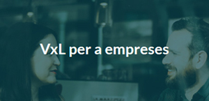VxL per a empreses