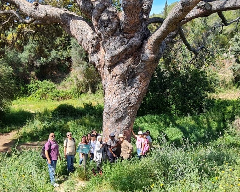 Caminada al Pi Gros tot conversant en català, a Vilanova i la Geltrú.