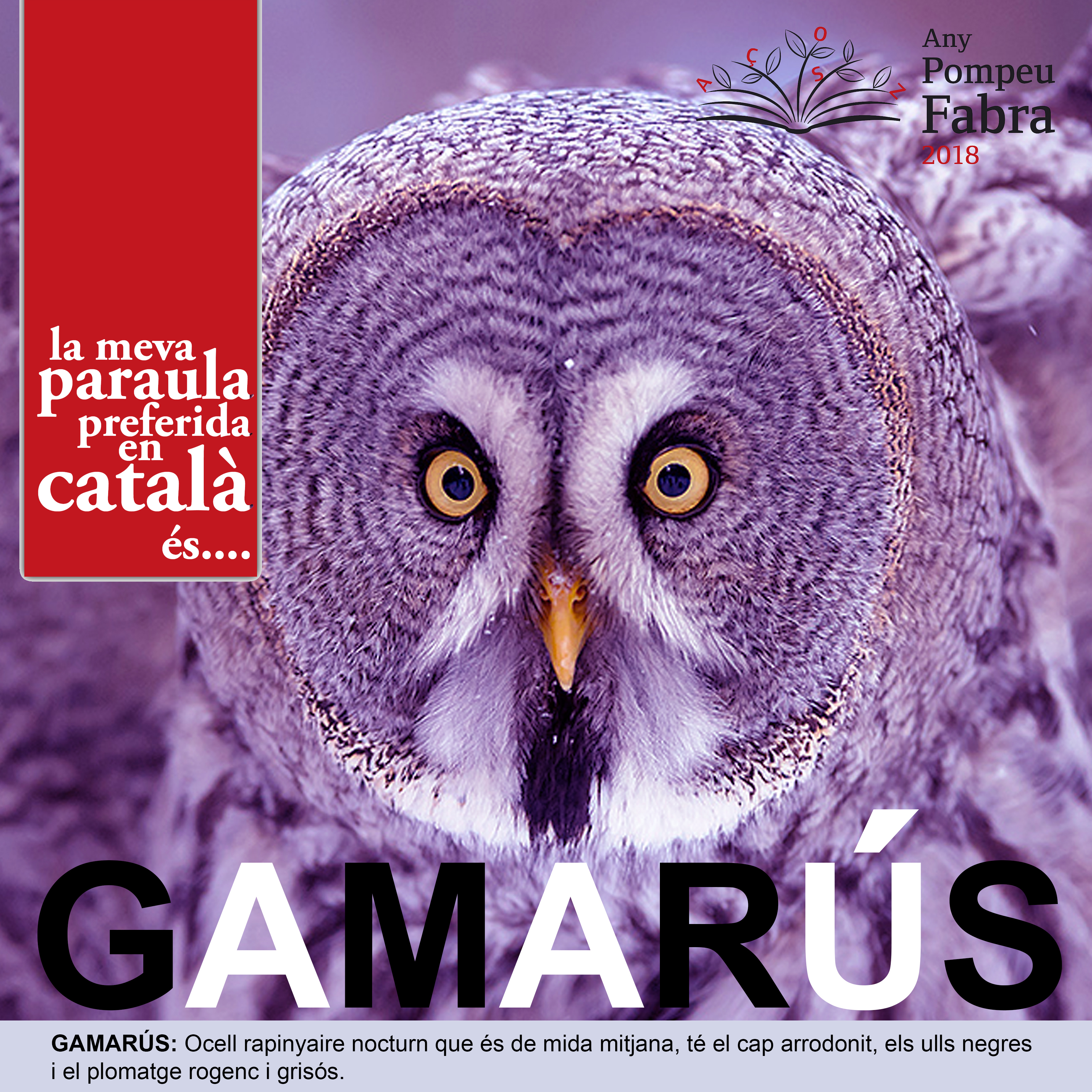 Gamarús
