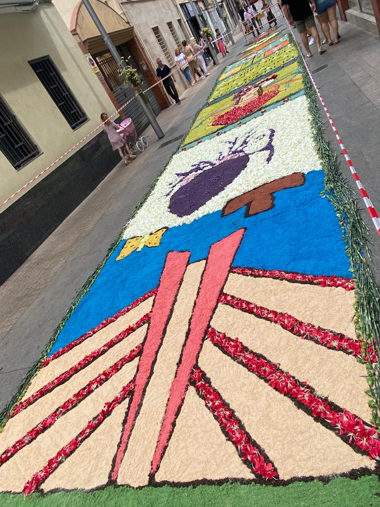 Catifa floral amb les cases del barri del Fondo de dalt