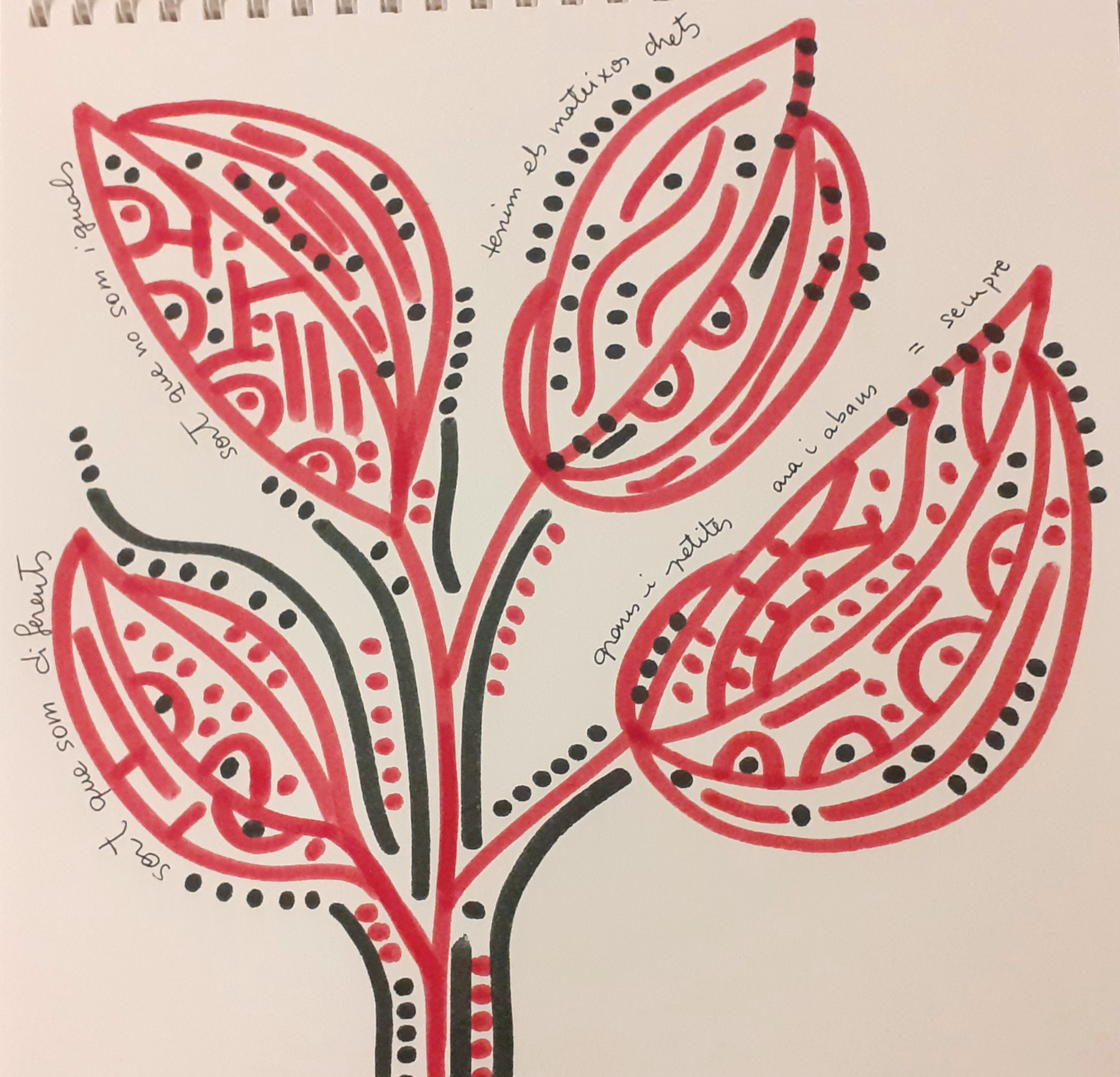 Autora Ivonne Del Pozo