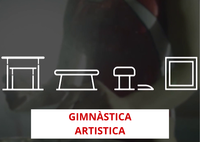 Introducció a la gimnàstica artística